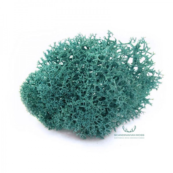 Purified Reindeer Turquoise Green 2,5 kg Norwegian